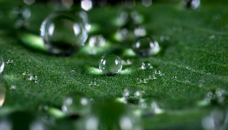 怎樣測量污水中的水分含量 怎樣測量污水中的水分含量