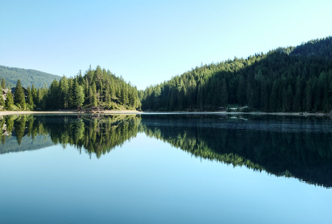 1678157112222809.jpeg pexels-photo-518485.jpeg