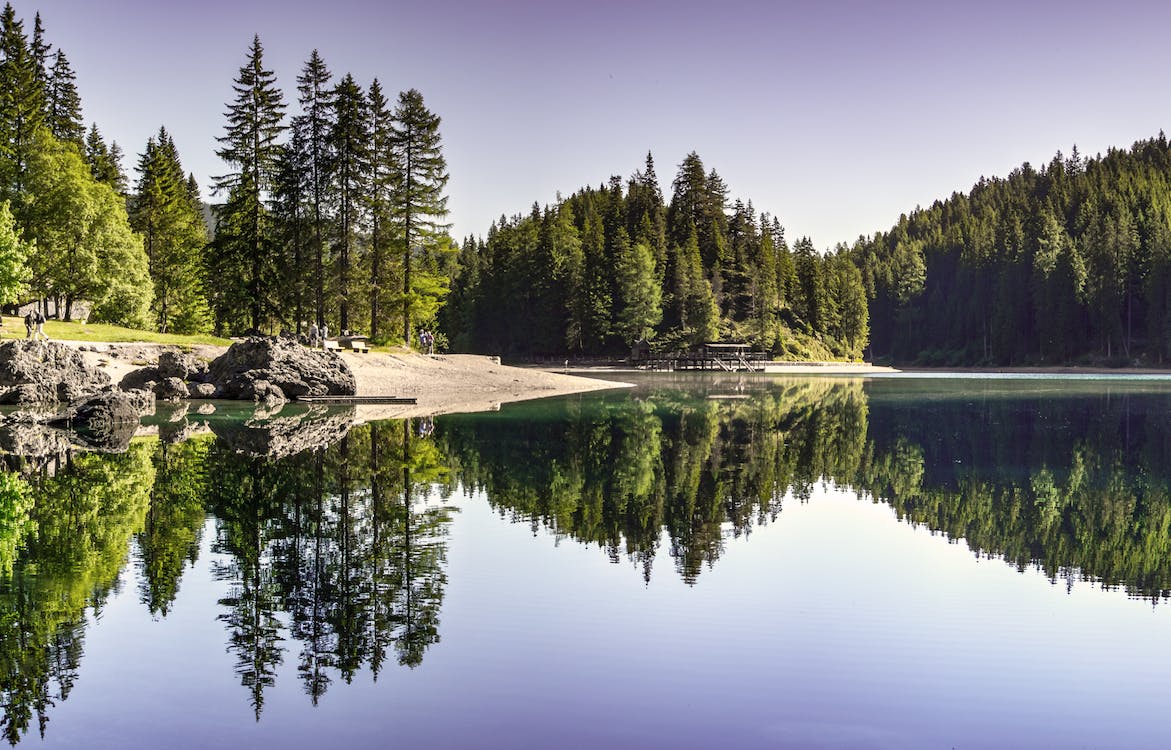 1678157918632322.jpeg pexels-photo-454880.jpeg