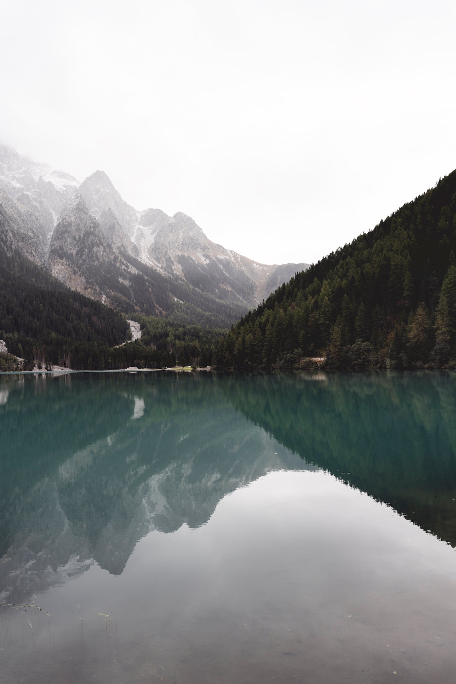 1678513749468237.jpeg pexels-photo-14730090.jpeg