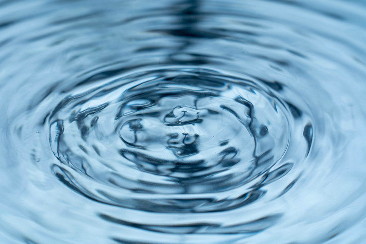 1681696143331472.jpg pexels-photo-8355556.jpg