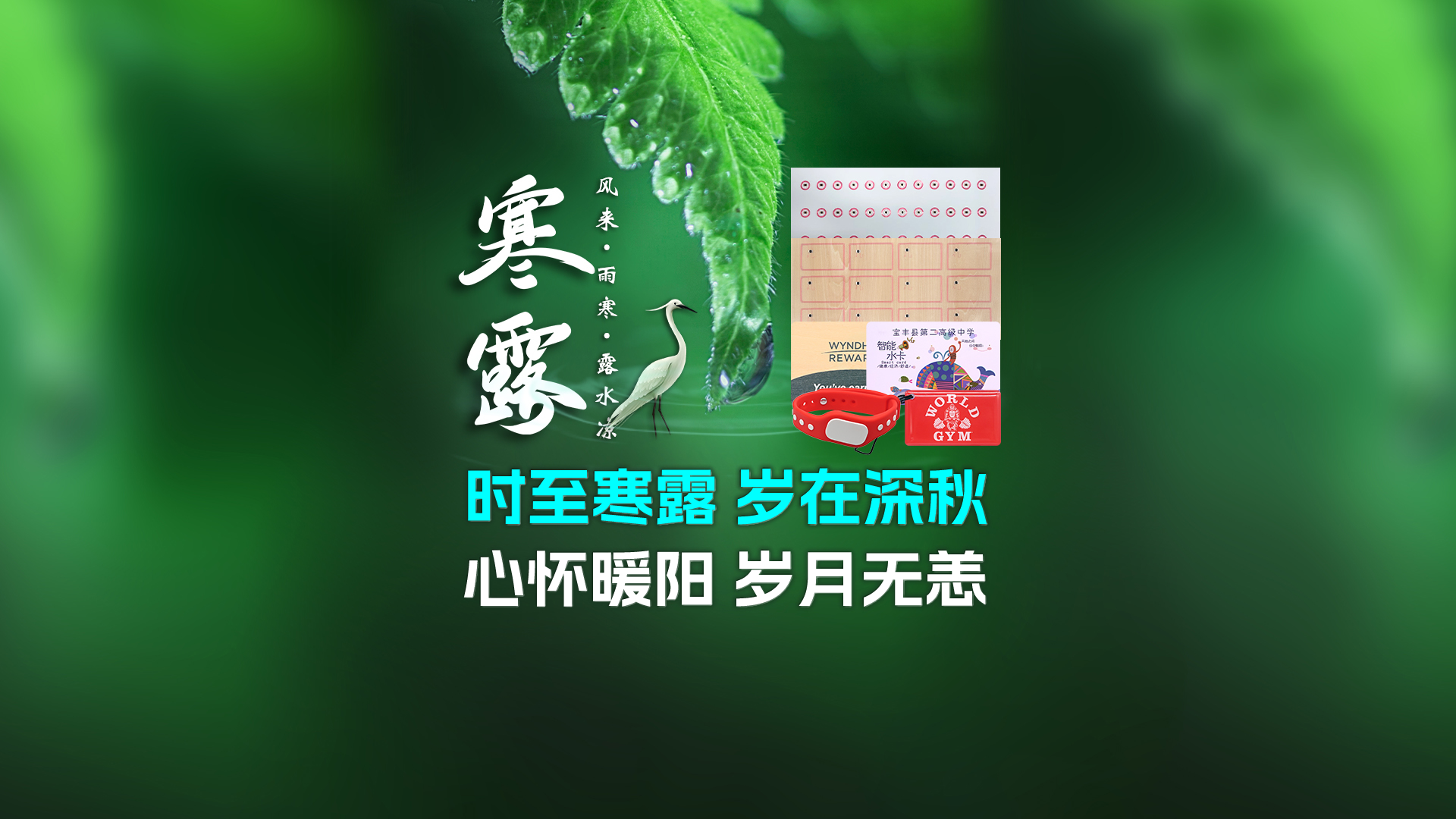 寒露至秋意濃，卡立方集團(tuán)攜RFID智能卡中料木卡腕帶伴您暖度深秋